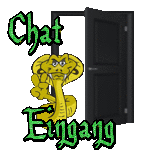 Chat