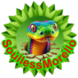 Bild von Shifty